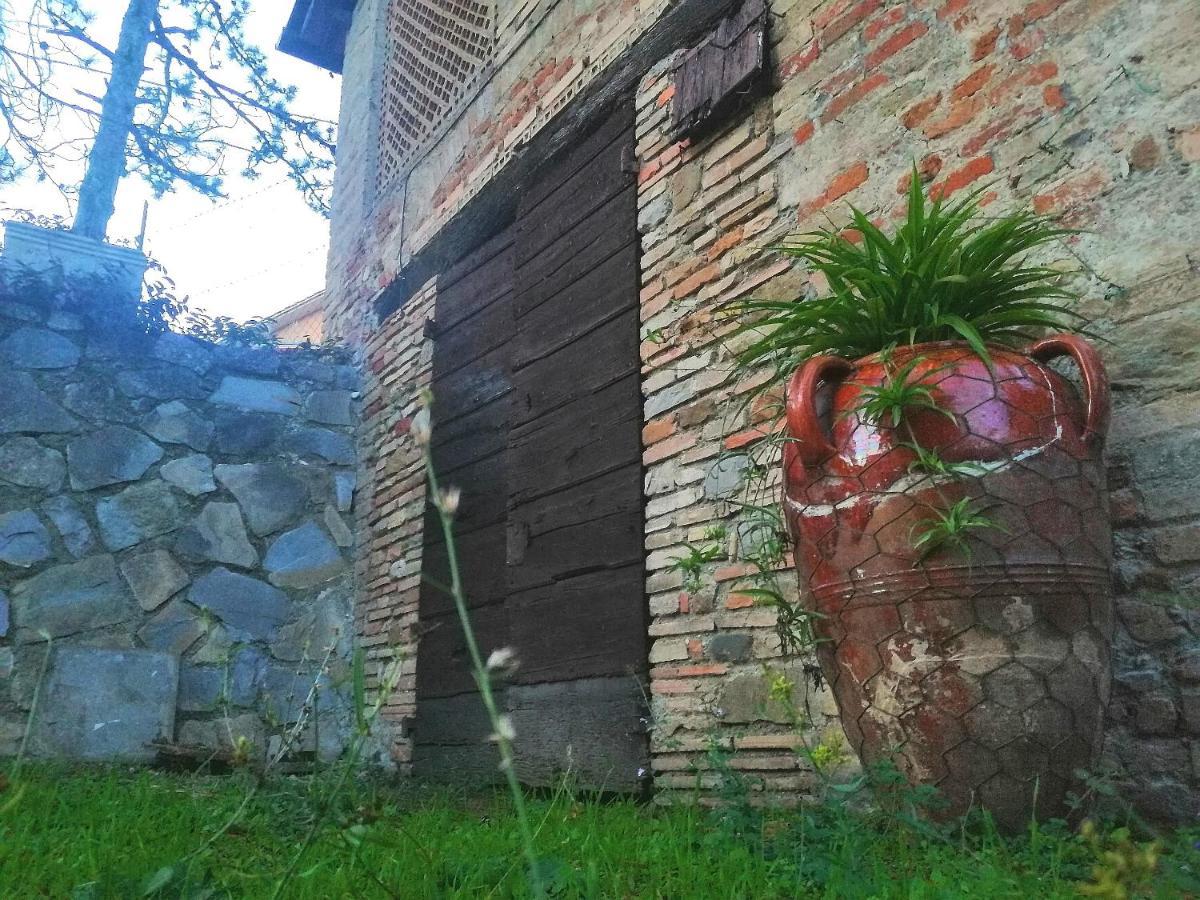Fonte Degna - Alloggio E Sito Storico Citerna Luaran gambar