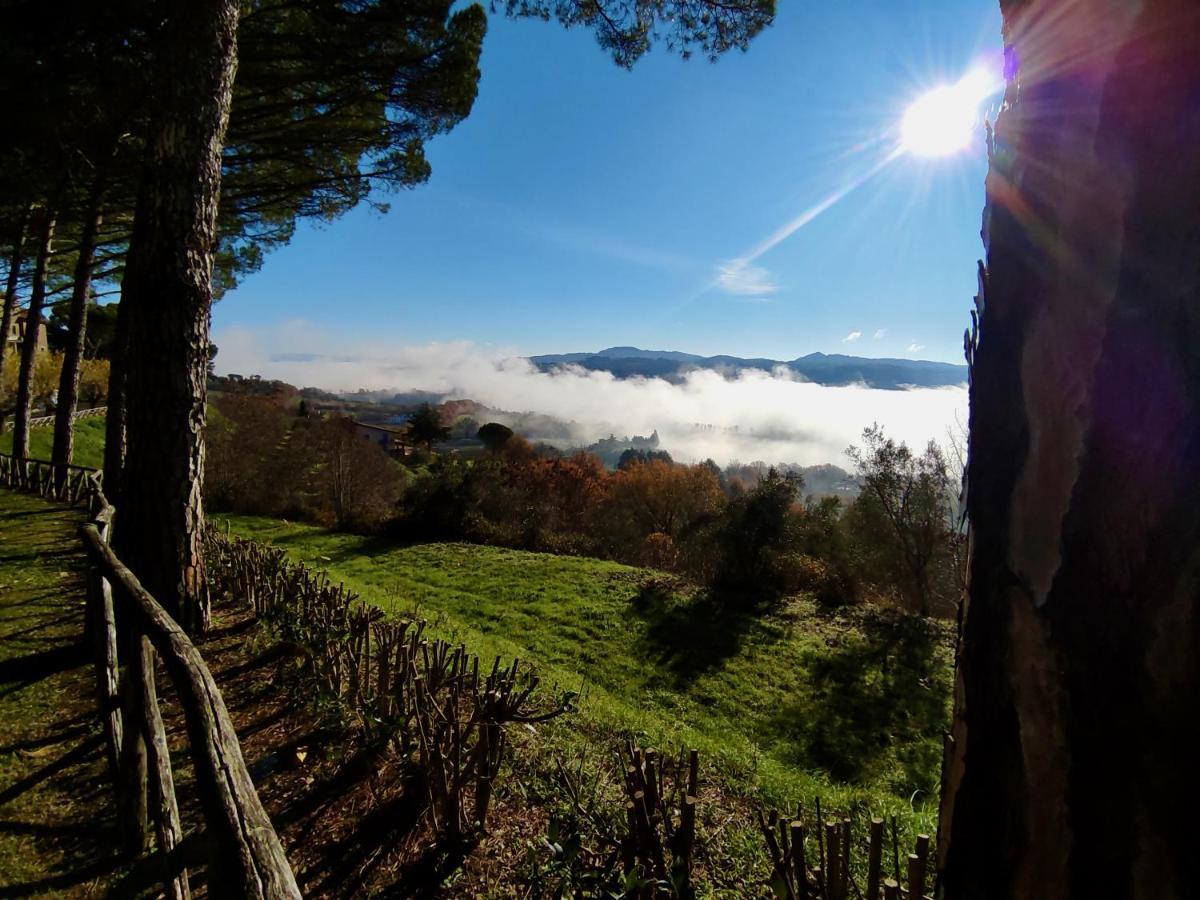 Fonte Degna - Alloggio E Sito Storico Citerna Luaran gambar