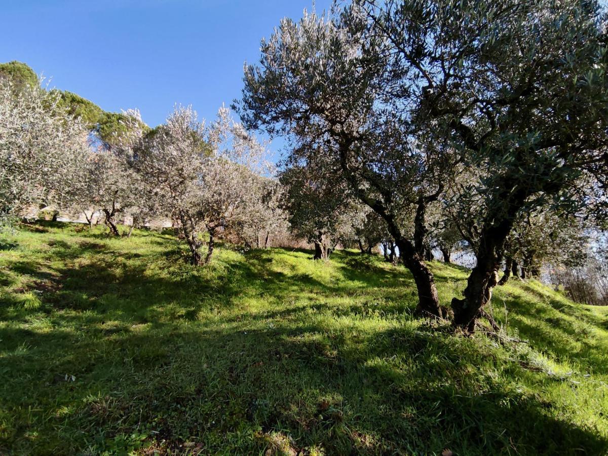 Fonte Degna - Alloggio E Sito Storico Citerna Luaran gambar